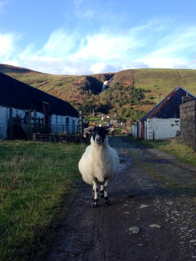 A face-off with one of the locals as I started gathering info for organising the beach clean