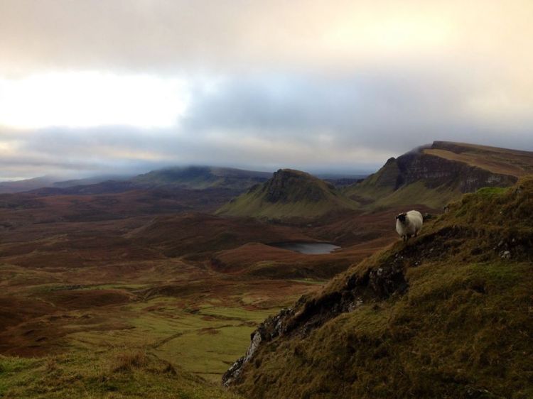 My first walk up the Quiraing (with the usual company)