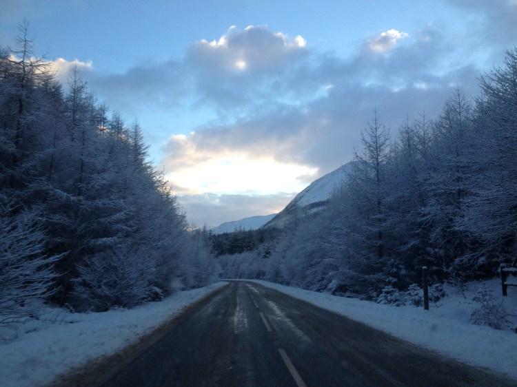 Driving into the Nevis resort