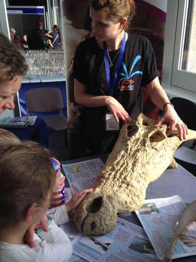 Hands on stuff for kids (and excited adults) in the Experts and Artefacts zone