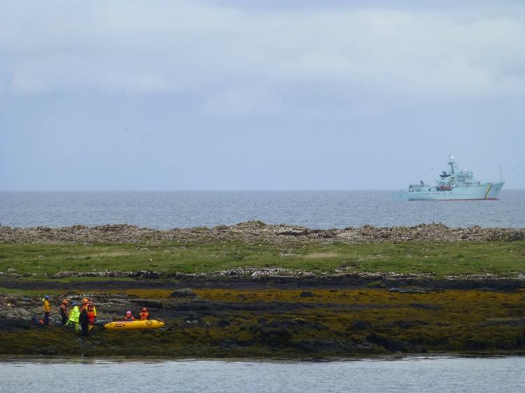 Stranded whales on the rocks at Saffin Island. The boat in the background is a Marine Scotland vessel (the fisheries security organisation that send officers to come and help). Photo by Adam Williams