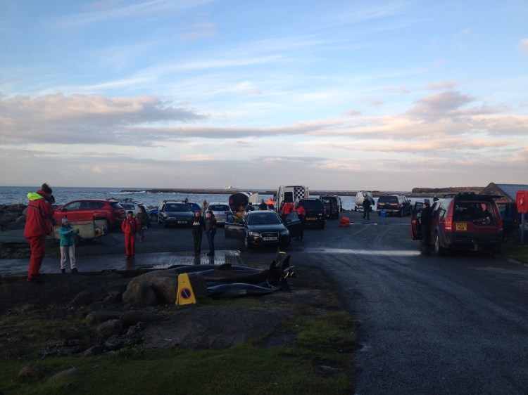 Staffin Slipway (at the end of the day)