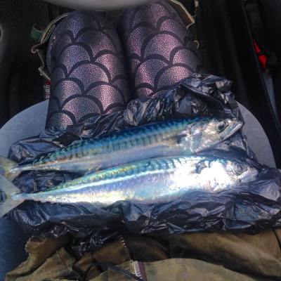 Unintentional co-ordination