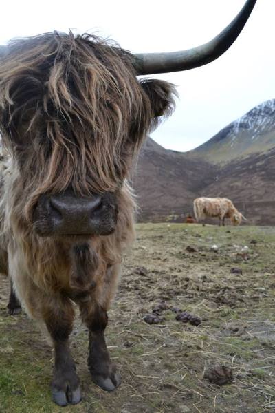 11204430_564607552003_2872934465202792274_n