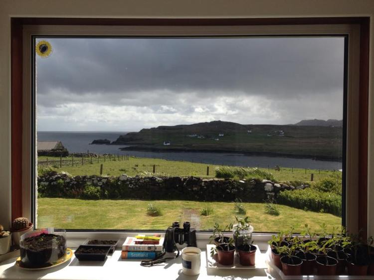 11329925_566743017513_4344100320440306406_n