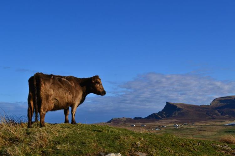 11150284_563772894663_6644213860567546486_n