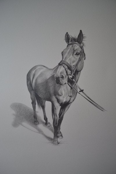 12615215_10153653914112013_1839740318727374689_o