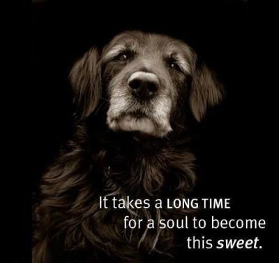 28f8eddb8f3b7b3ac5ee028ae843bfa4