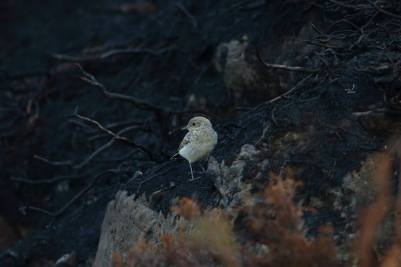 35836864_10214204178471889_5661832881241063424_n - Copy