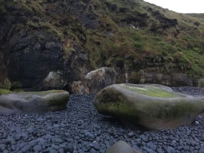 61448329_1172497129589970_3576637194019799040_n