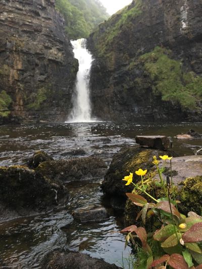 61869192_861342394203332_7691352374828335104_n