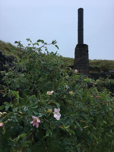 62180187_2381520162084269_783203779100016640_n