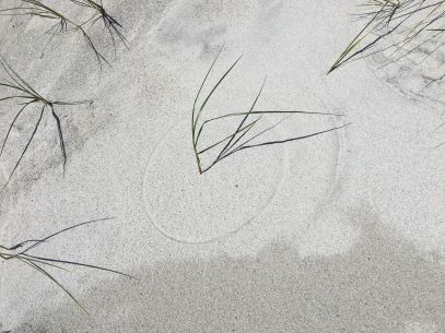 62188317_2169919999965380_730236610318172160_n