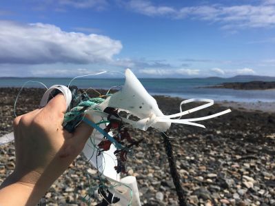 62234137_1335261683296007_1065858291269107712_n